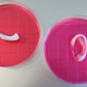 A piece of 3D-printed jawbone and ear cartilage.